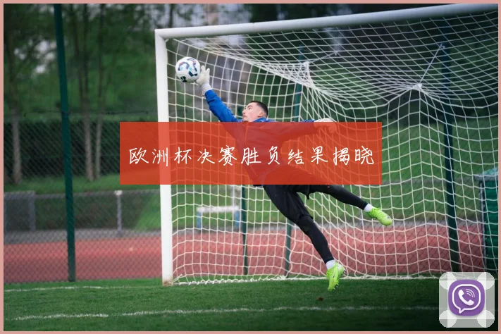 欧洲杯决赛胜负结果揭晓