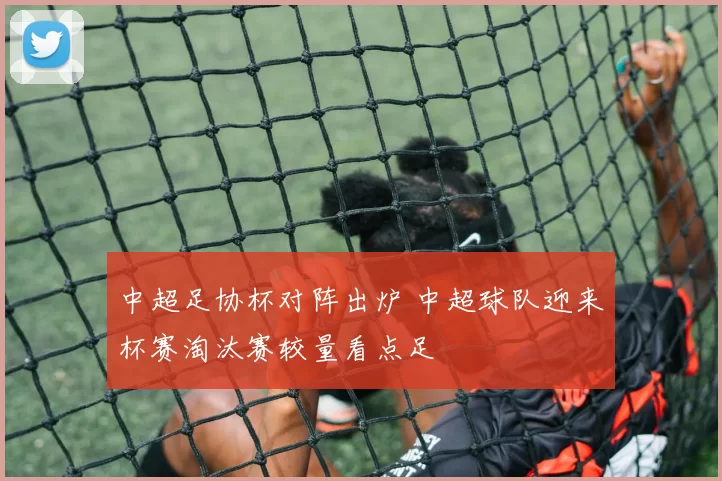 中超足协杯对阵出炉 中超球队迎来杯赛淘汰赛较量看点足